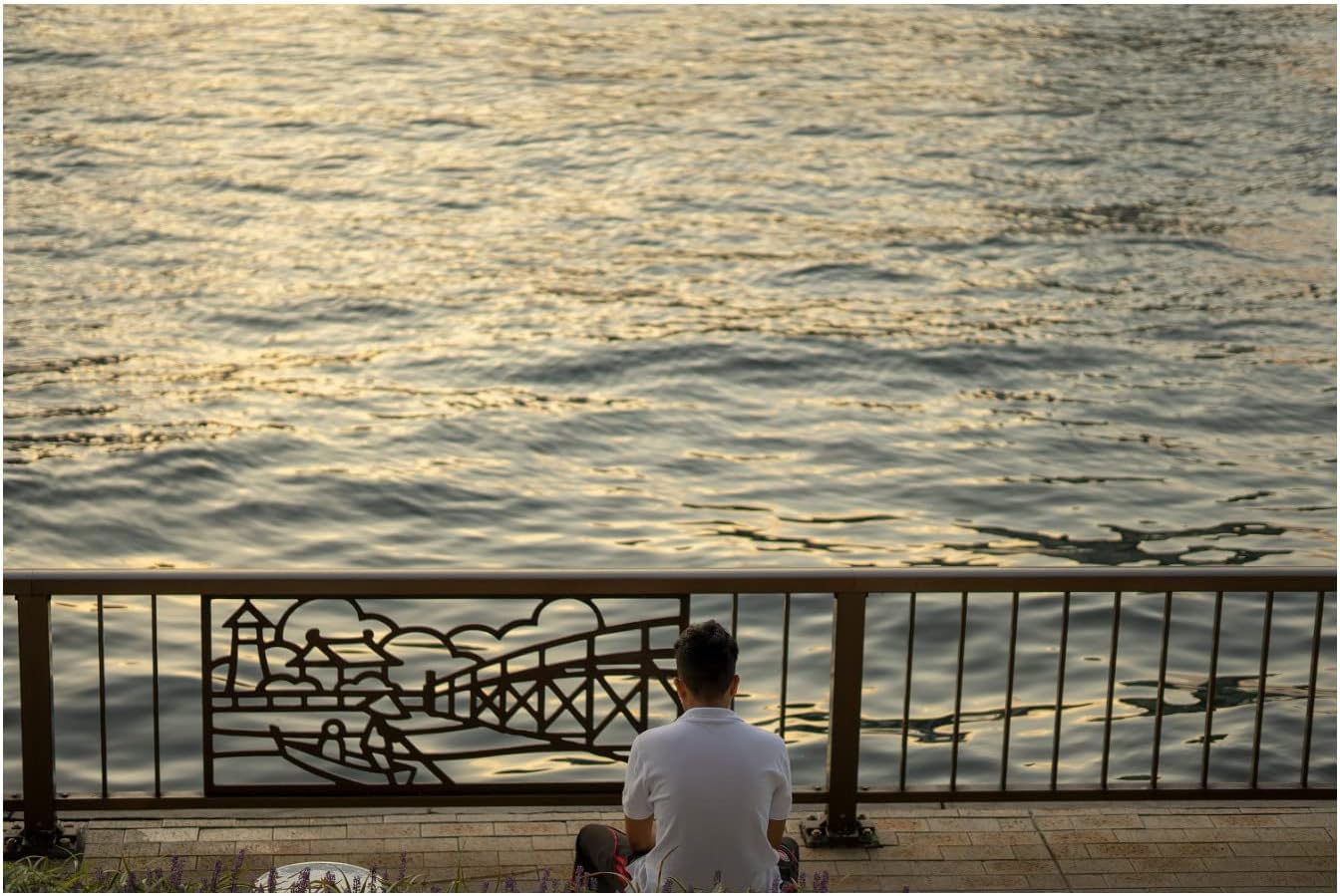 Sigma 351965 56mm f/1.4 DC DN Lens - Sony E-Mount Prime