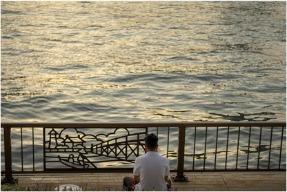 Sigma 351965 56mm f/1.4 DC DN Lens - Sony E-Mount Prime