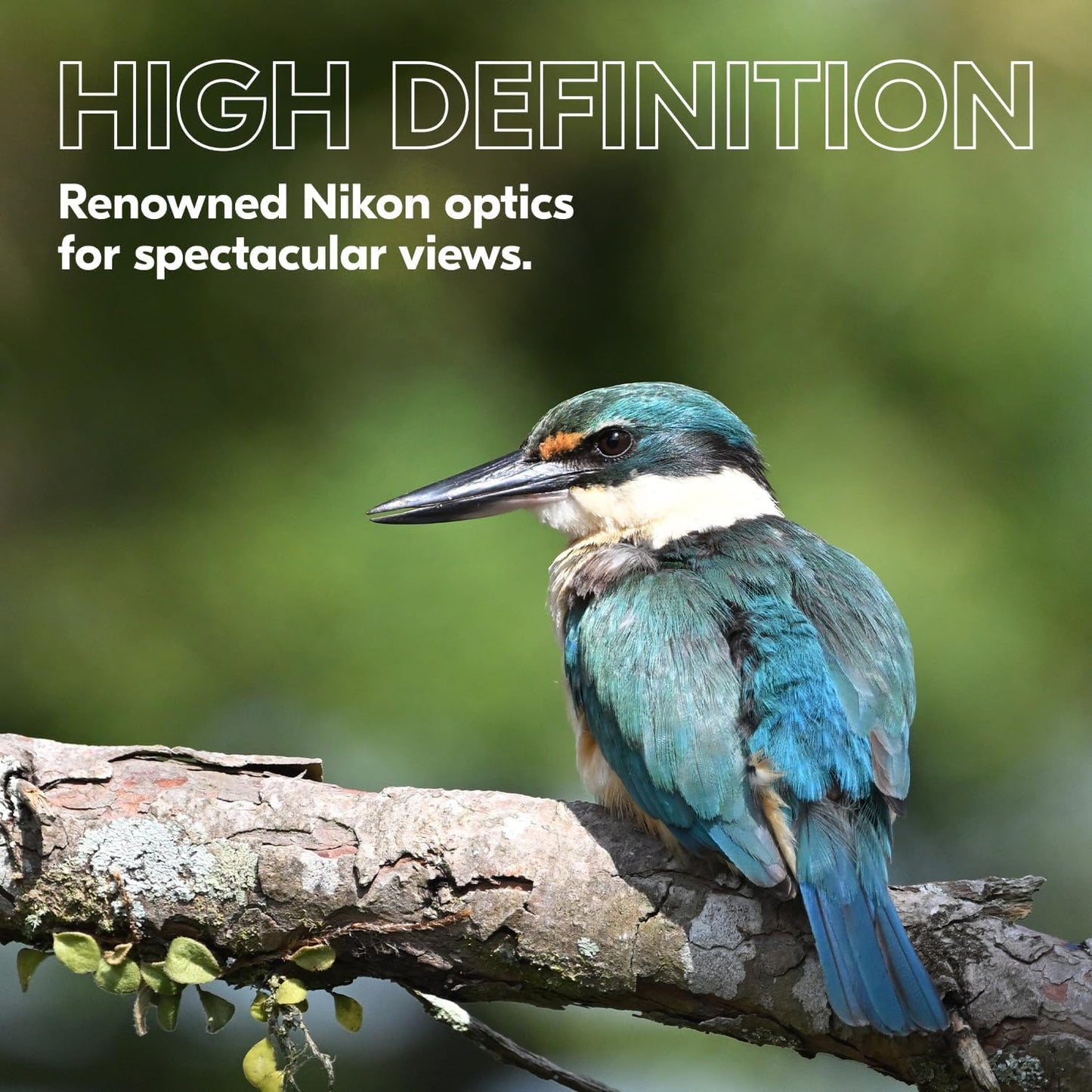 Nikon PROSTAFF P3 10x42 Waterproof Binoculars