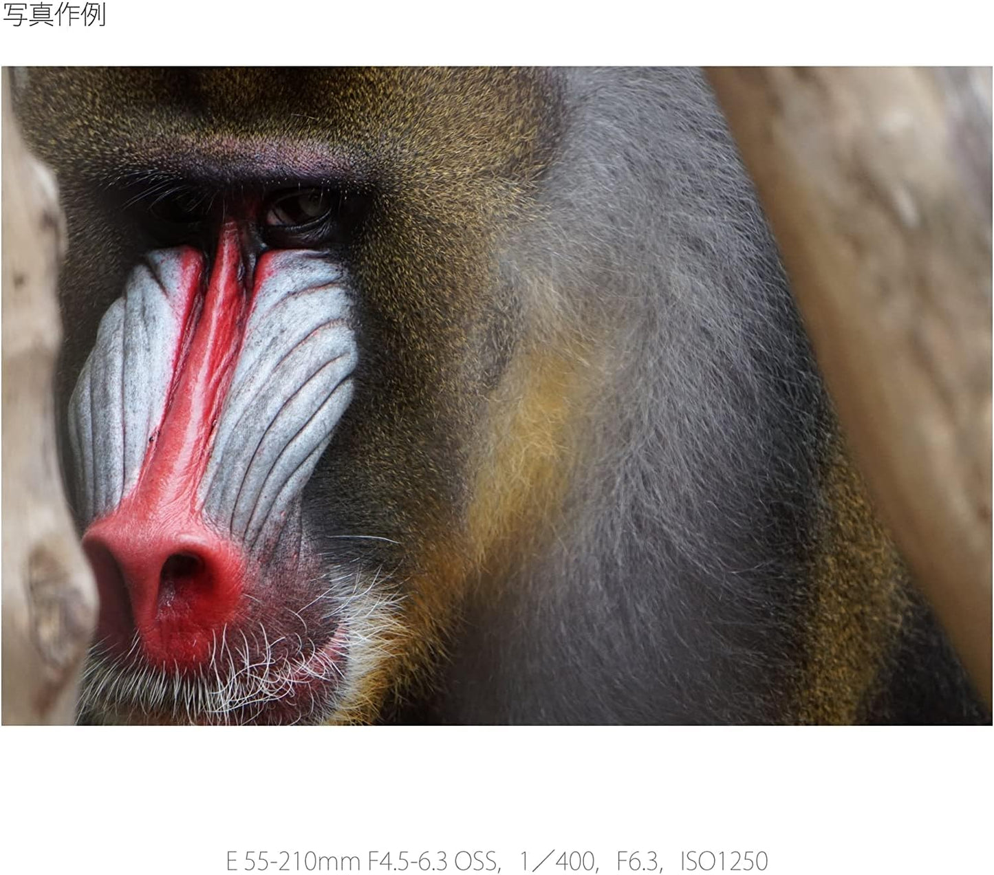 Sony SEL55210-cr 55-210mm E-Mount Lens Renewed