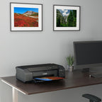 Canon 4280C002 PIXMA PRO-200 Wireless Inkjet Photo Printer