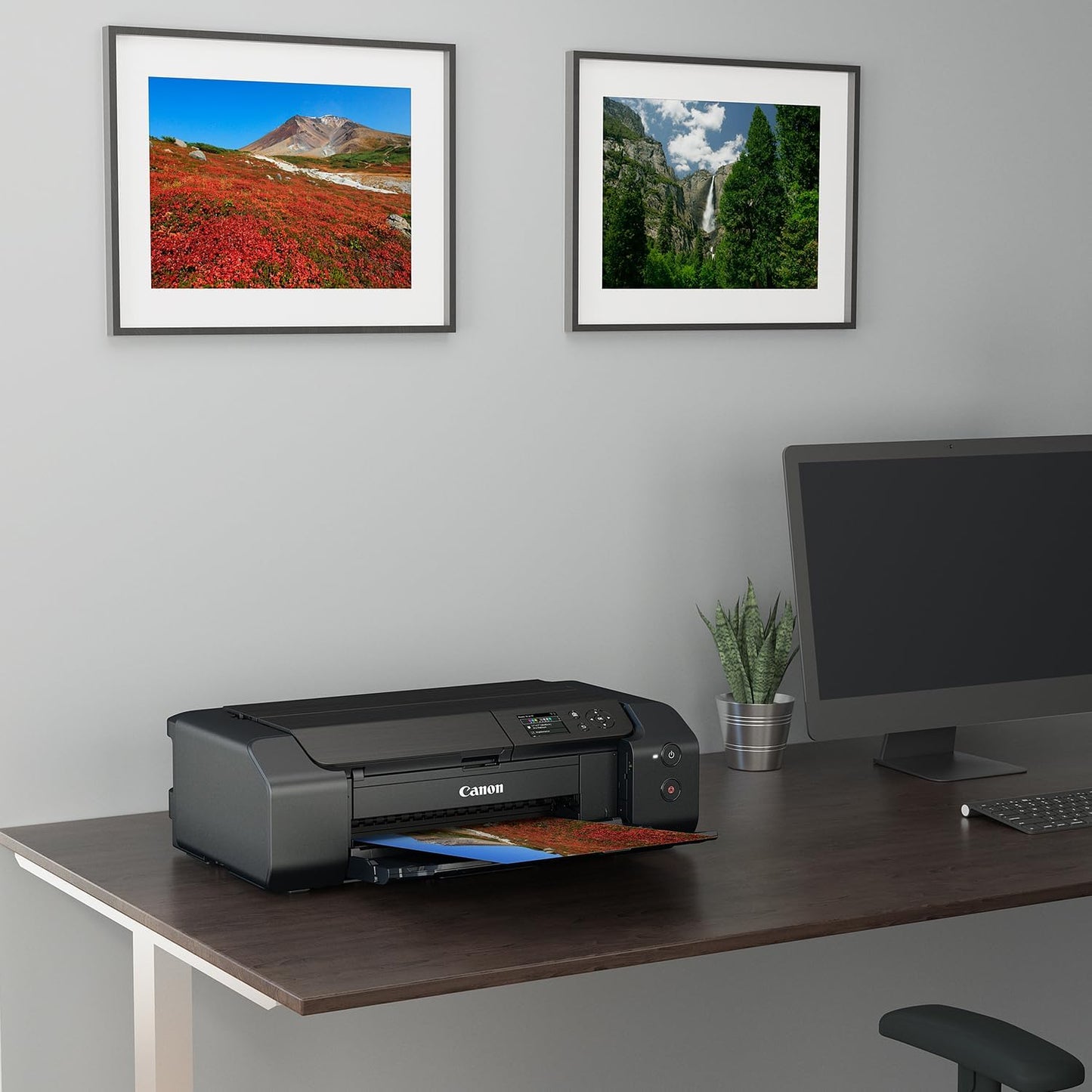 Canon 4280C002 PIXMA PRO-200 Wireless Inkjet Photo Printer