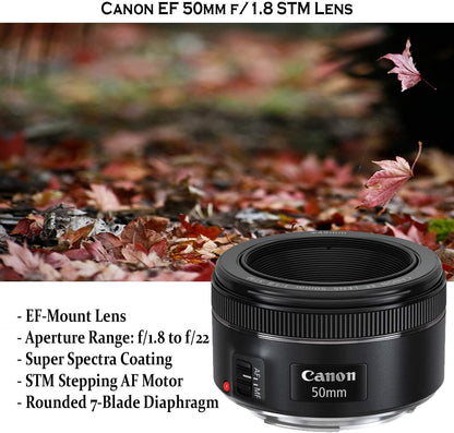 Canon EOS 80D DSLR Camera Bundle with Lenses & Accessories (Renewed)