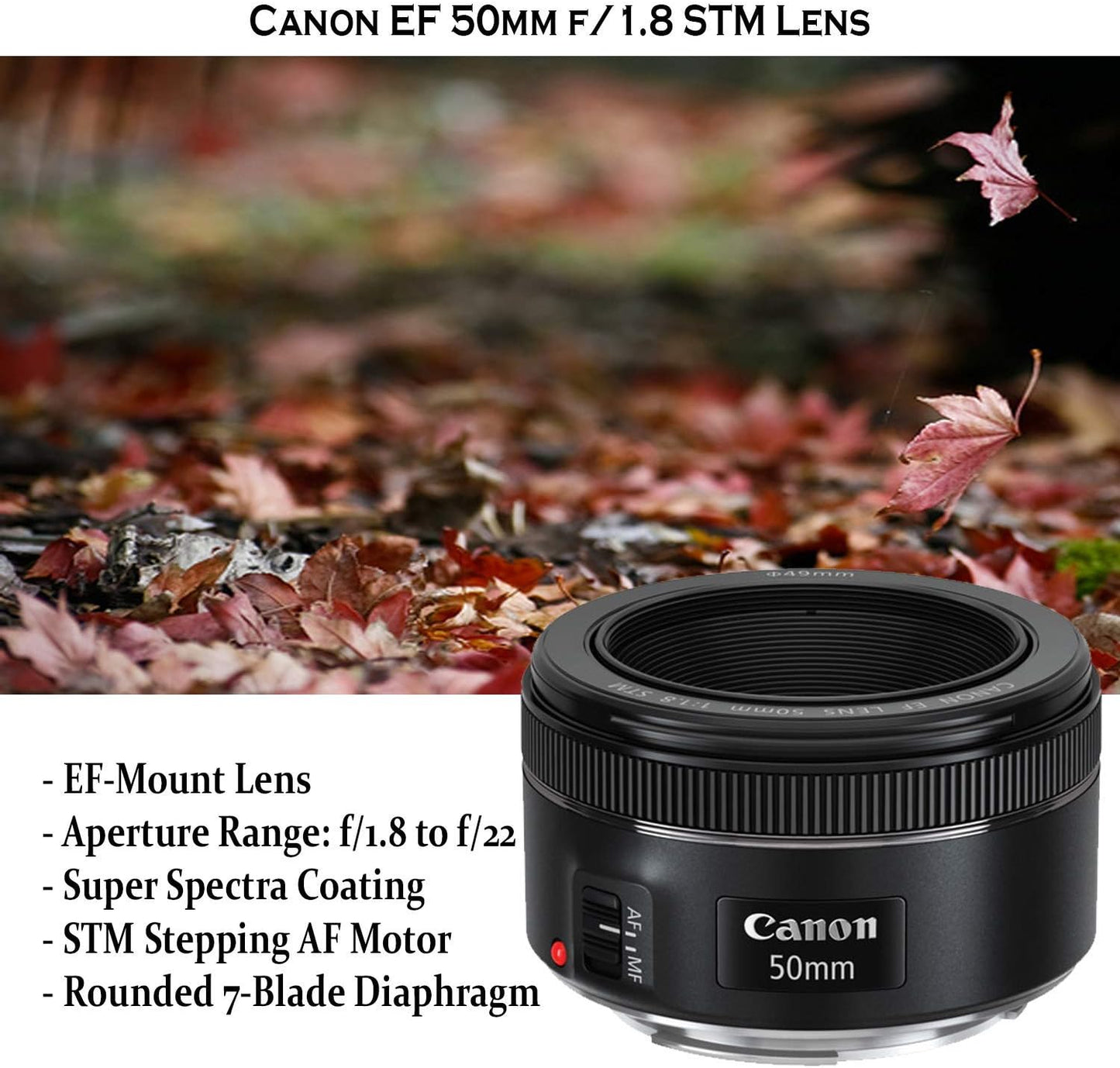 Canon 90D DSLR Camera Bundle Renewed