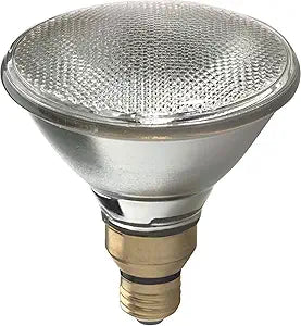 GE 66282 Halogen PAR38 Flood Light: 80W 2-Pack