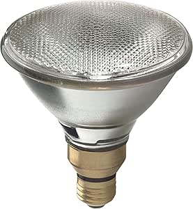 GE Halogen PAR38 Flood Light Bulbs 80W 2-Pack