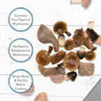 Roland 44744 Premium Canned Wild Forest Mushrooms 4-Pack