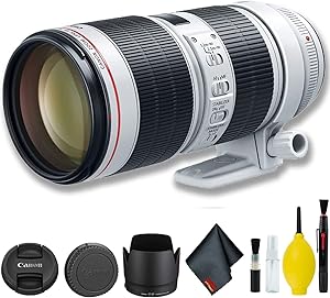 Canon 3044C002 EF 70-200mm f/2.8L III USM Lens