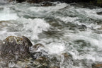 Cokin WP1R153 ND4 Filter: P-Series Neutral Grey (0.6)
