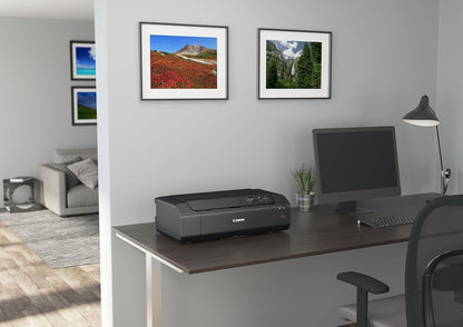 Canon 4280C009 Pro200 A3+ Wireless Photo Printer