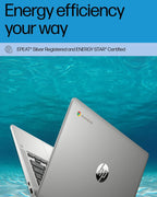HP 14a-na0226nr Chromebook 14
