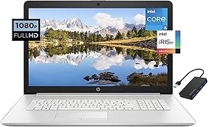 HP 17 17.3" Full HD Business Laptop i5 8GB 256GB SSD - Hub