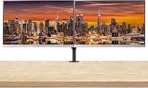 HP ASIMonitor23 EliteDisplay E243 IPS Monitor 2-Pack Bundle