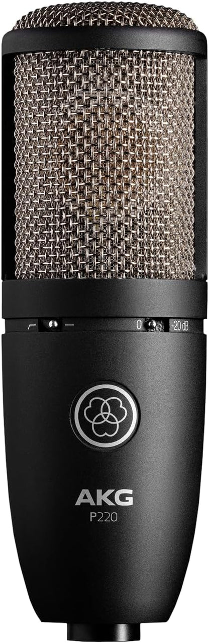 AKG P220 3101H00420 Vocal Condenser Microphone - Black