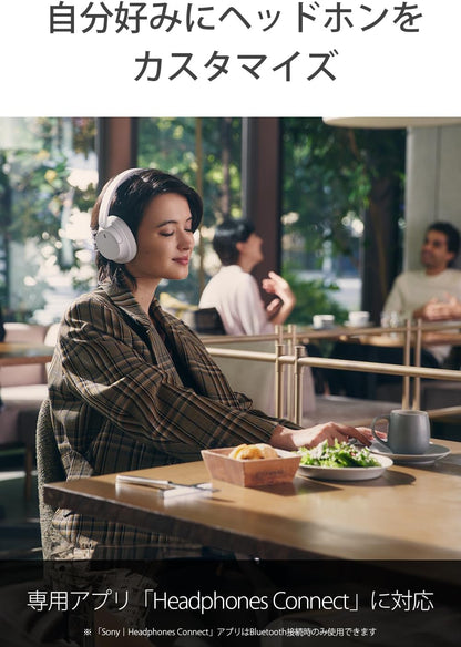 Sony WH-CH720N WC Noise Canceling Wireless Headphones - White