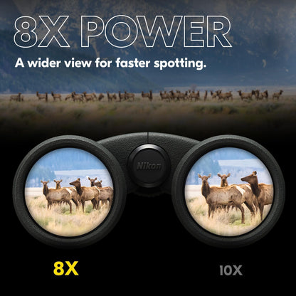 Nikon 16776 PROSTAFF P3 8x42 Waterproof Binoculars