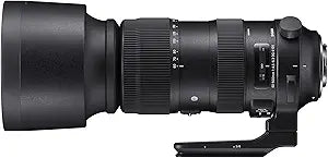 Sigma 730954 60-600mm DG OS HSM EF Lens