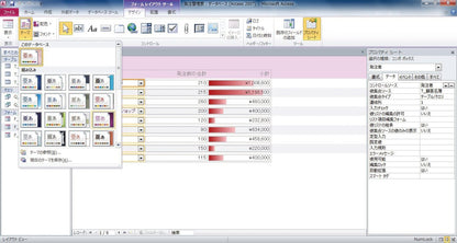 Microsoft Office Professional 2010 Academic Package (Old Version)