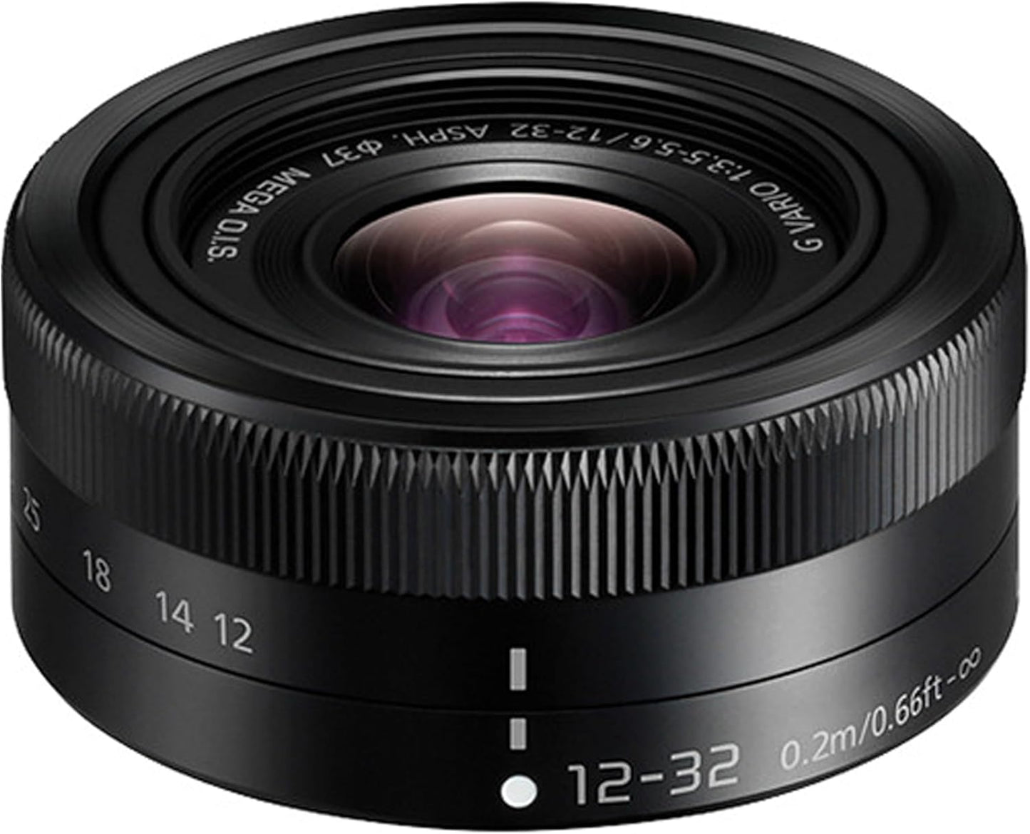 Panasonic Lumix G100D 12-32mm Lens Mirrorless Camera Kit