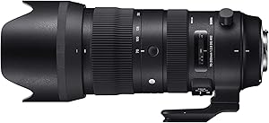 Sigma 70-200mm f/2.8 DG OS HSM Nikon F Lens