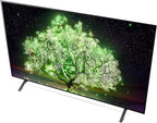 LG E29LGOLED77A1PUA 77