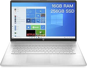 HP 17-CP0010NR 17.3" HD+ Laptop Athlon 3050U 16GB 256GB SSD