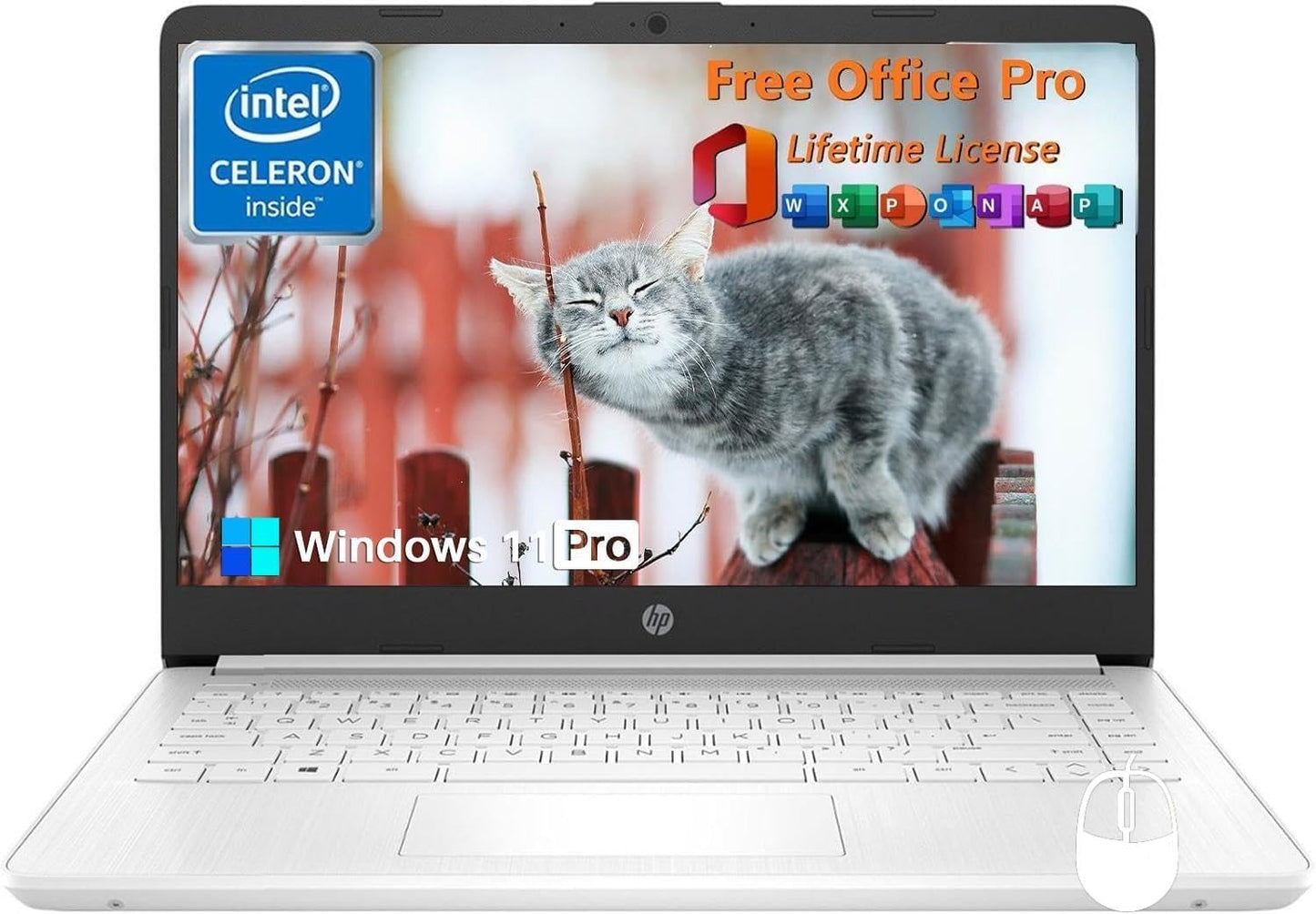 HP HP Stream 14" Laptop Windows 11 Pro