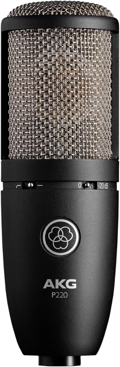 AKG P220 3101H00420 Vocal Condenser Microphone - Black