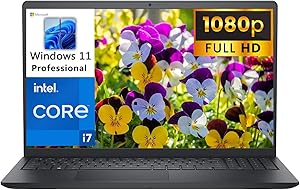 Dell 15 3520 Inspiron 15.6" i7 32GB 2TB SSD Windows 11 Pro Laptop