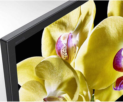 Sony XBR 65X800G 65-inch 4K Smart TV Bundle