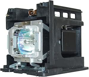 InFocus SP-LAMP-073 Replacement Projector Lamp