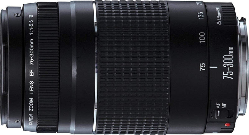 Canon EF 75-300mm f/4-5.6 III Telephoto Zoom Lens — main product image