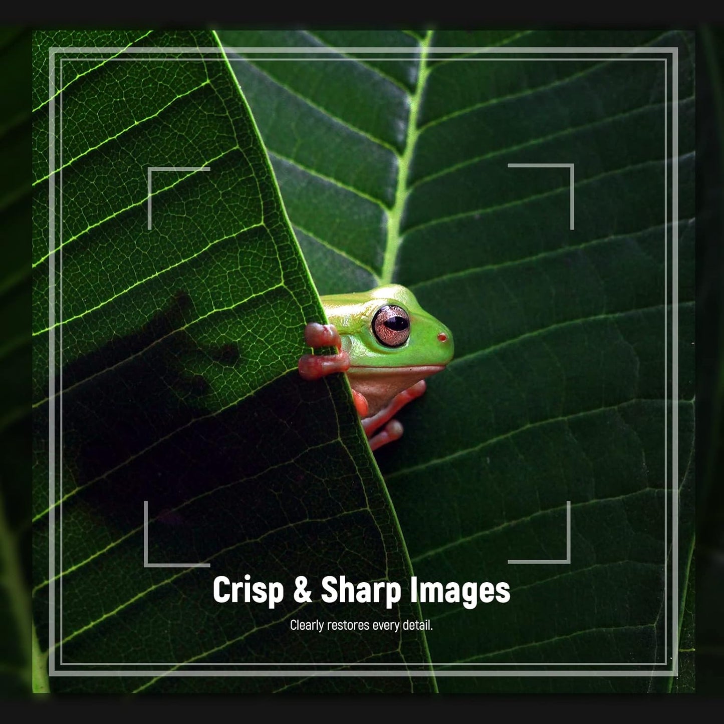 Neewer 10103028 82mm Macro Close-Up Lens Filter Kit