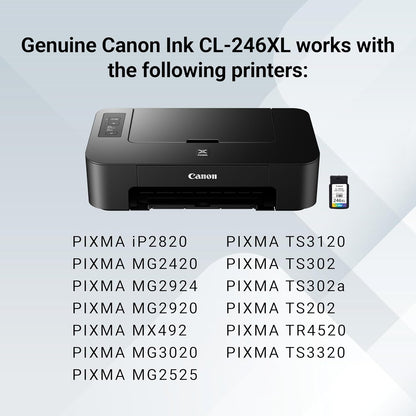 Canon 8280B001 CL-246 XL Color Ink Cartridge