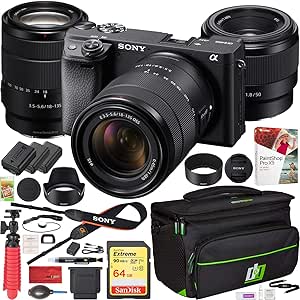 Sony E58SNILCE6400MB a6400 18-135mm Two Lens Kit — main product image