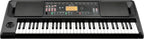 Korg EK50 61-Key Arranger Keyboard: Entertainer Series
