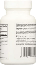 Seagate Olive Leaf Extract - 450mg, 45 Capsules - Immune Support