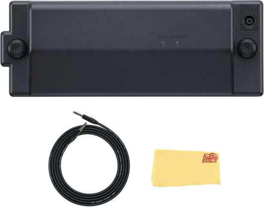 Roland BTY-NIMH-A Rechargeable Amp Power Pack Bundle