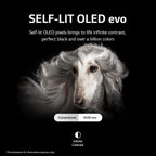 LG CRT2LGOLED65C2PUARB 65-Inch OLED evo 4K TV
