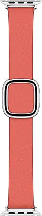 Apple Modern Buckle 40mm Watch Band Pink — main product image