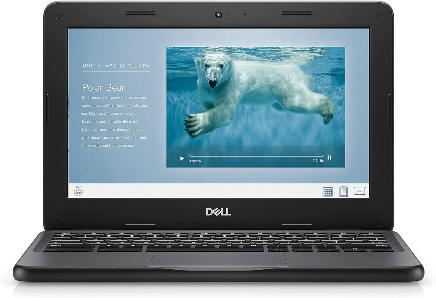 Dell Chromebook 3100 2-in-1 Renewed: 11.6" Touch, Celeron N4000