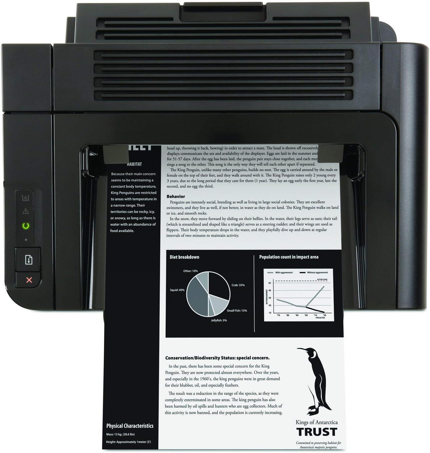 HP P1600 LaserJet Pro P1606DN - Monochrome Printer - Renewed