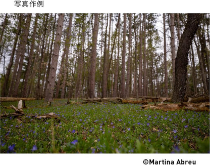 Sigma 0085126206659 16-28mm F2.8 DG DN Sony E-Mount Lens