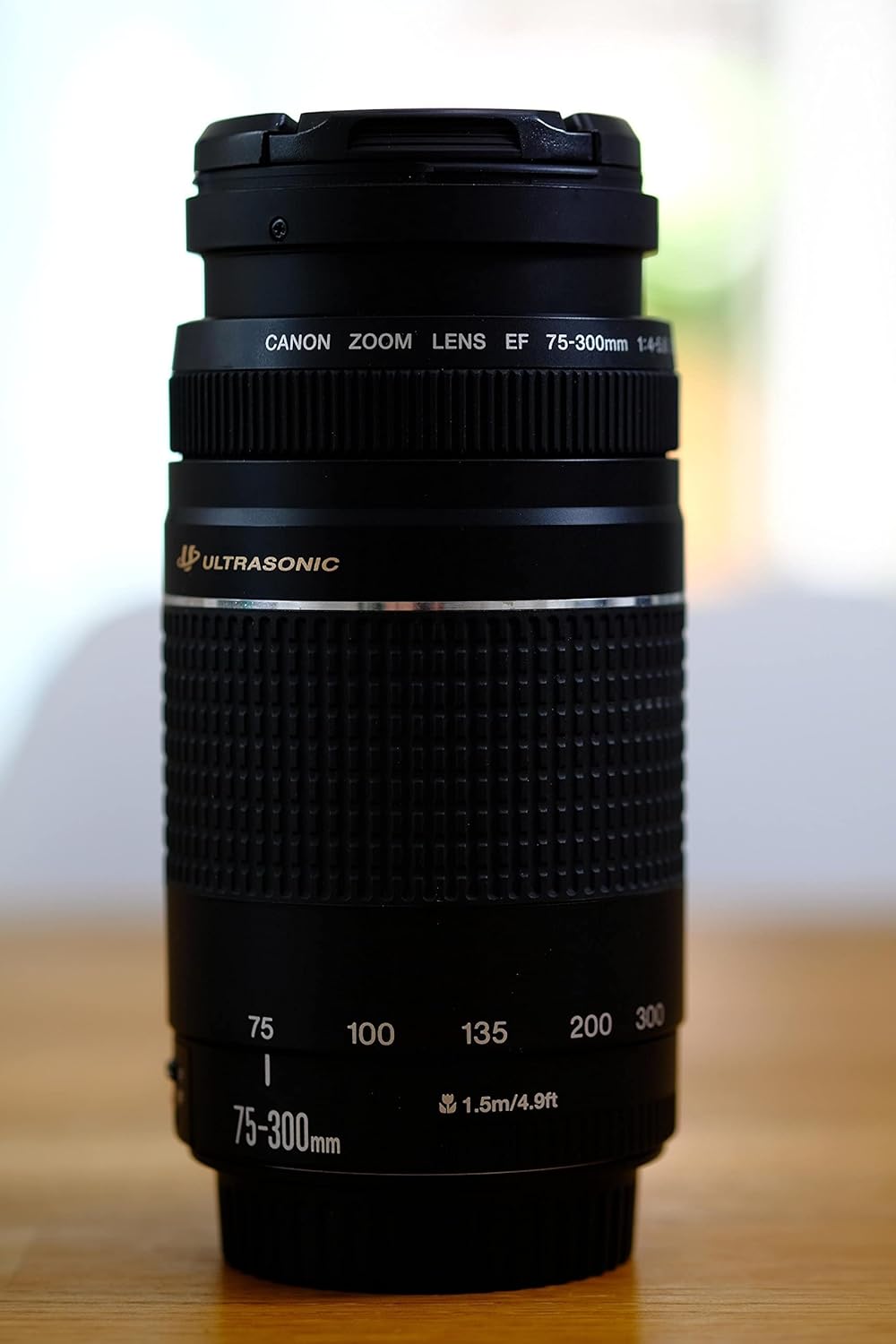 Canon 6473A003 EF 75-300mm Telephoto Zoom Lens