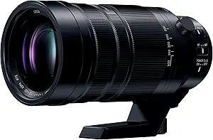 Panasonic H-RSA100400 100-400mm F4.0-6.3 Micro Four Thirds Lens