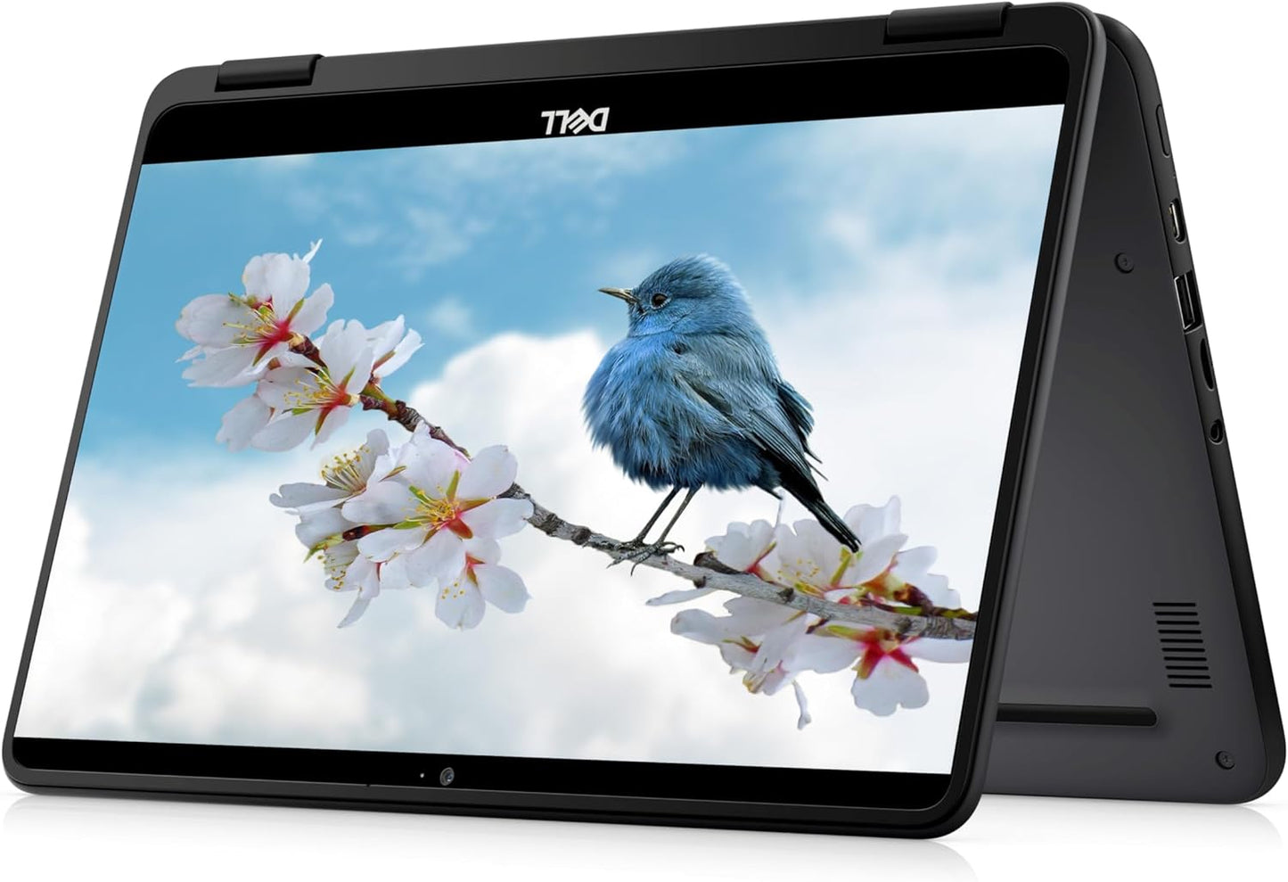 Dell 11" Convertible Touchscreen Chromebook Renewed