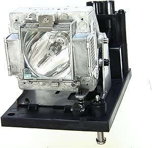 BenQ 5J.JAM05.001 Replacement Lamp PX9600 PW9500