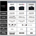 Panasonic LUMIX G100 4K Mirrorless Camera with 12-32mm & 45-150mm Lens Kit