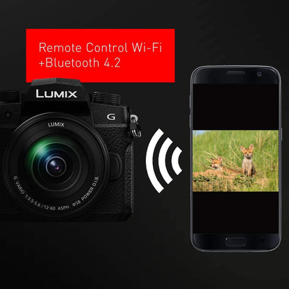 Panasonic DC-G95DMK Lumix G95 Mirrorless Camera