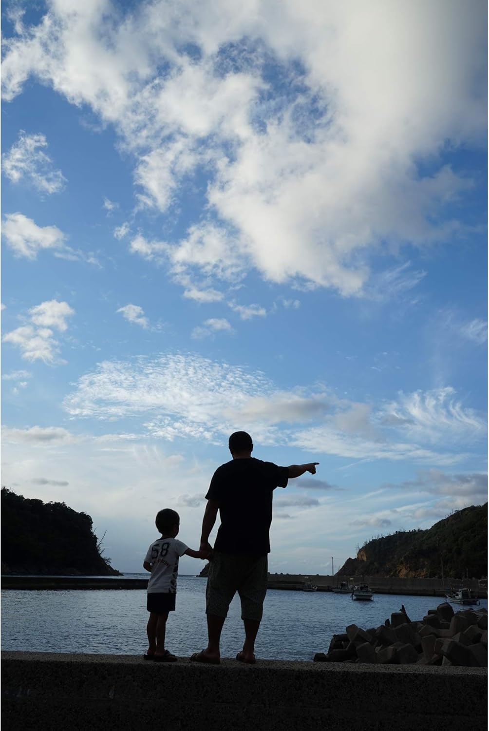 Sony E4SNSEL2870 FE 28-70mm OSS Lens Bundle